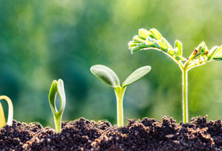 Amazon Growth Tool Analytics